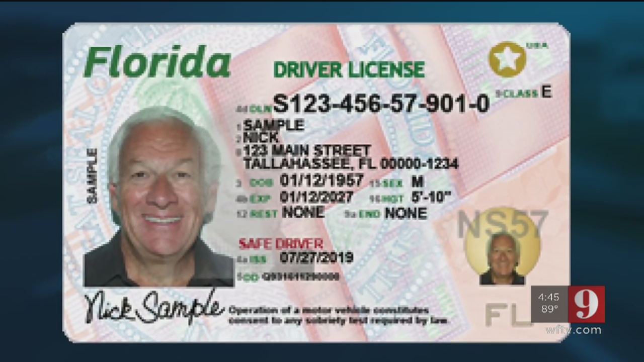 florida dmv drivers license check